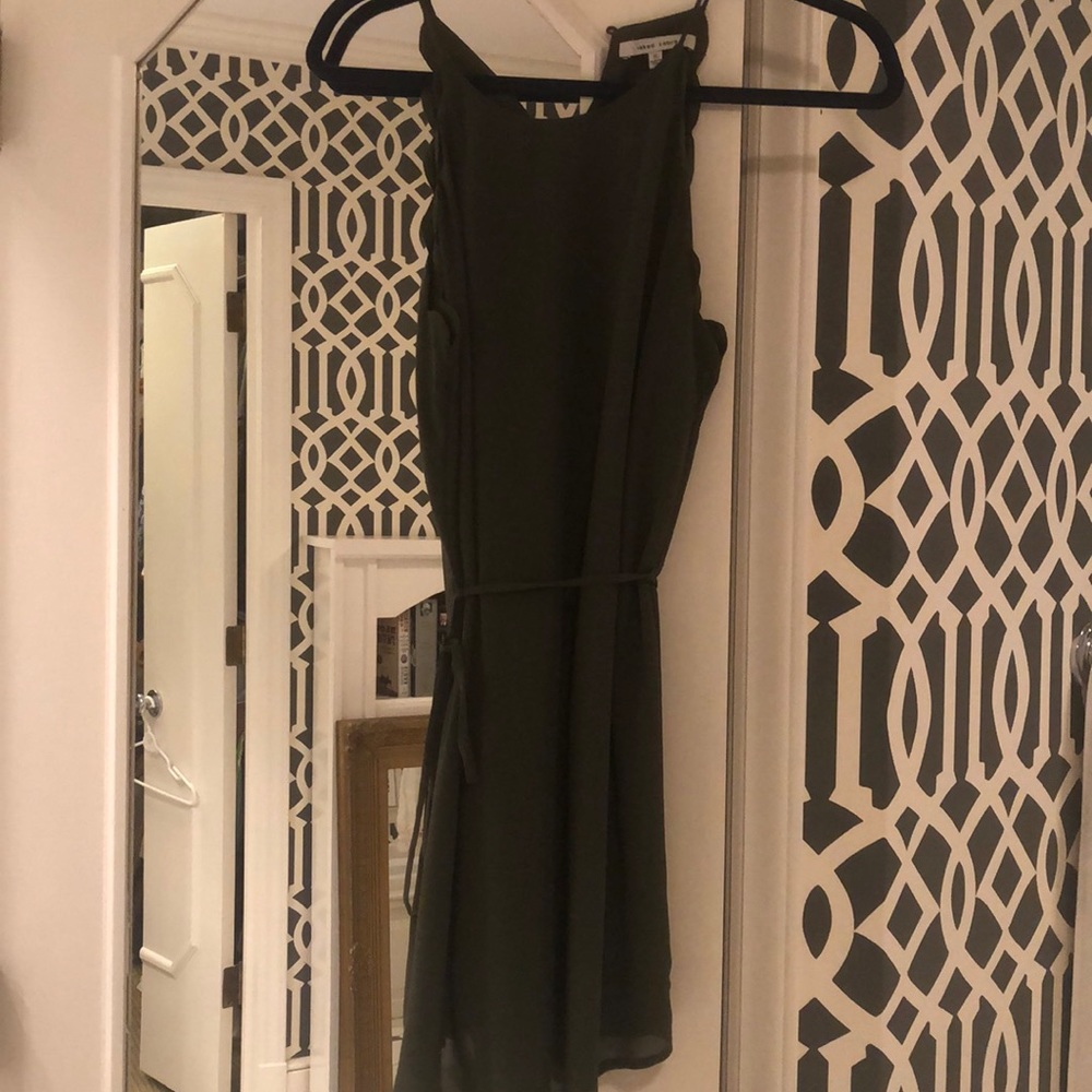 Naked Zebra NEW Army Green Dress